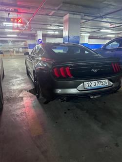 فۆرد مۆستانگ